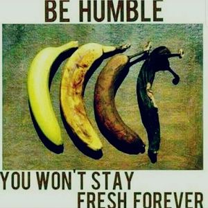 Meet your Posher, Reiam